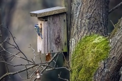 plone-bagno-3