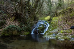 Le-Charalon-5