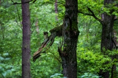 untitled-12