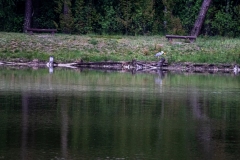 untitled-18