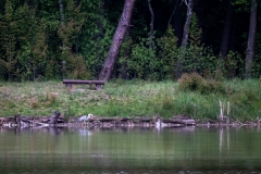 untitled-19