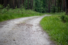 untitled-7
