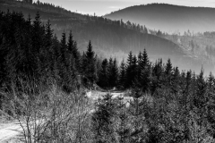 Salmopol-S.-Malinowska-14