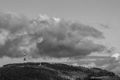 Salmopol-S.-Malinowska-20