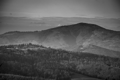 Salmopol-S.-Malinowska-5