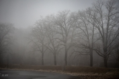 untitled-10