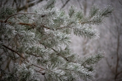 untitled-13