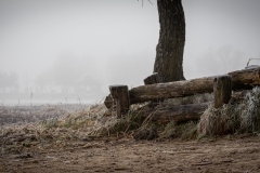 untitled-19-2