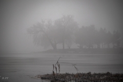 untitled-20-2