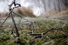untitled-21