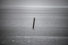 untitled-24