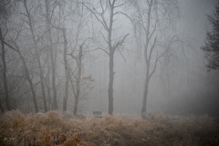 untitled-25
