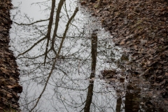 untitled-28