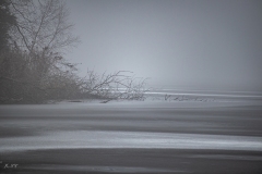 untitled-29