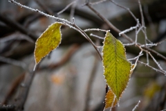 untitled-5
