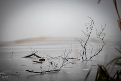 untitled-6