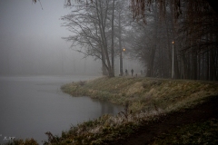 untitled-8