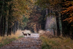 untitled-2