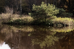 untitled-8