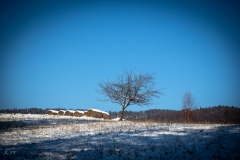 untitled-10