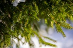 untitled-12