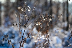 untitled-23