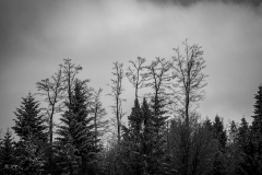 untitled-26