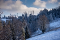 untitled-27