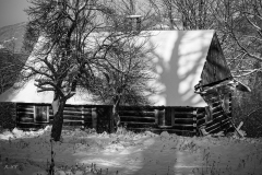untitled-28