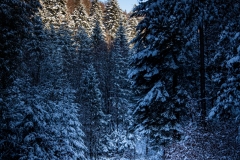 untitled-3