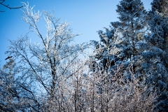 untitled-31
