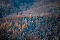 untitled-36