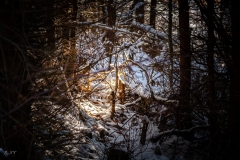 untitled-5