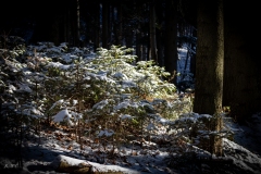 untitled-8