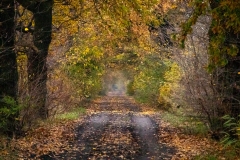 2.-Wielikat-15.11.20