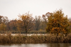 9.-Wielikat-15.11.20